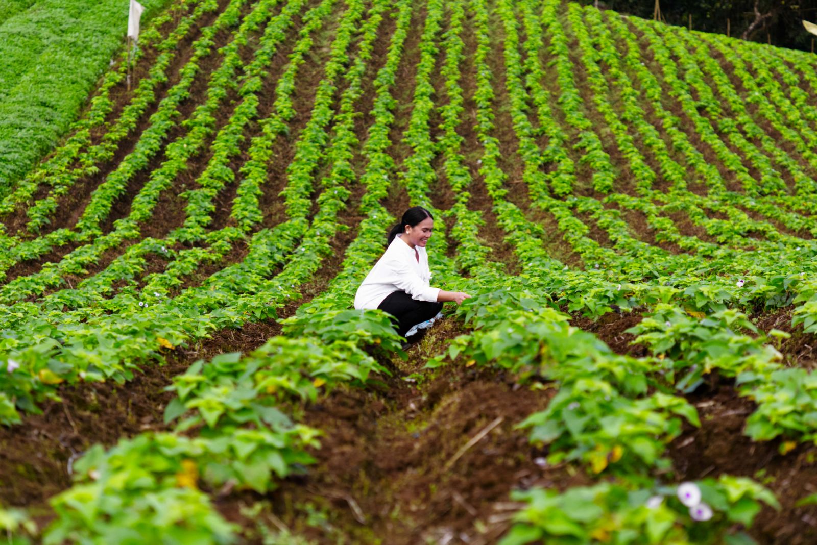 UN Ambassador for Food Security and Nutrition Cherrie Atilano (Photo: Courtesy of Sub-Zero and Wolf)