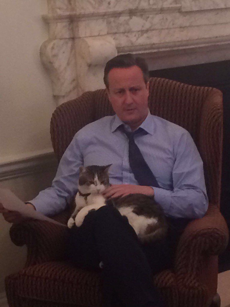 Former British Prime Minister David Cameron posted a photo of Larry on his lap on his X, formerly Twitter (Photo: David Cameron's X)