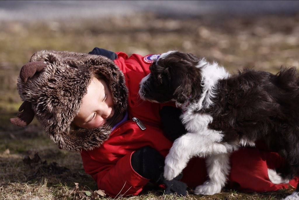 Prime Minister of Canada Justin Trudeau announces his family adopted a new pet Kenzie in a Facebook's post, attracting close to over 27 thousands likes (Photo: Justin Trudeau's Facebook)