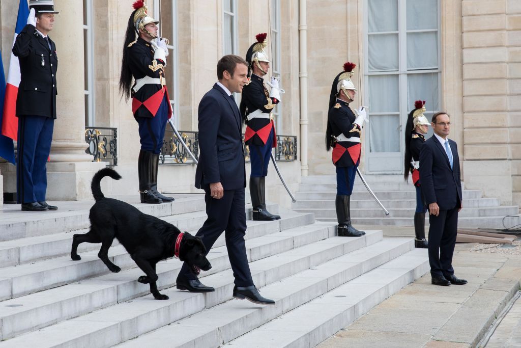 French President Emmanuel Macron and his dog Nemo welcome former President of Niger Mahamadou Issoufou at the Élysée Palace in Paris (Photo: Getty Images)