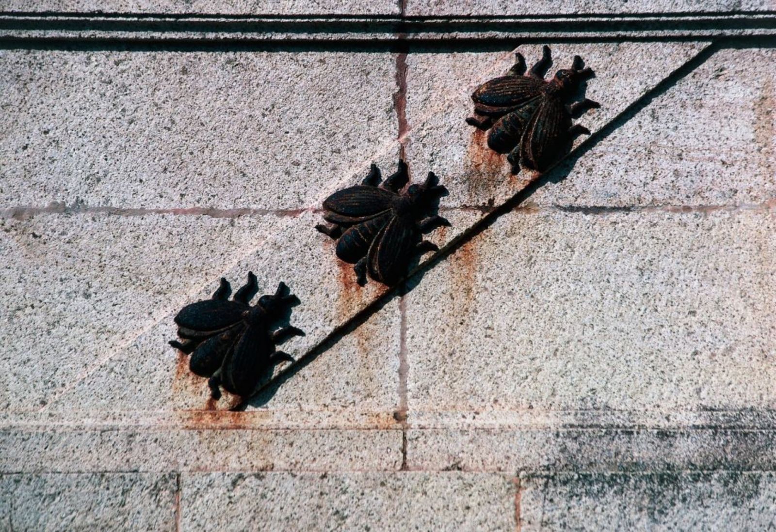 拿破崙在建立王朝之後,時常以蜜蜂作為其象徵性的圖騰。(Photo by DeAgostini/Getty Images)