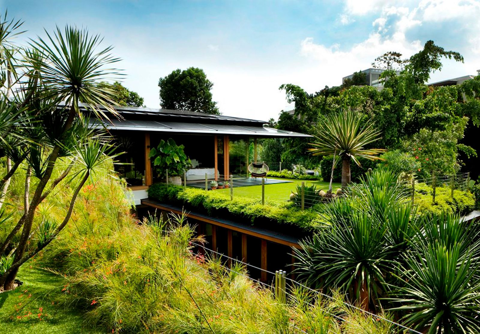 The lush nature surrounding the Olive House