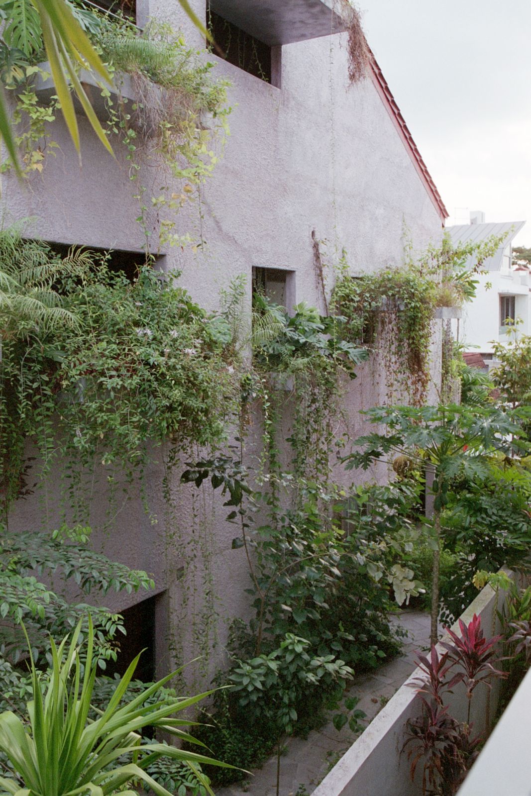 Every Window a Garden by Linghao Architects