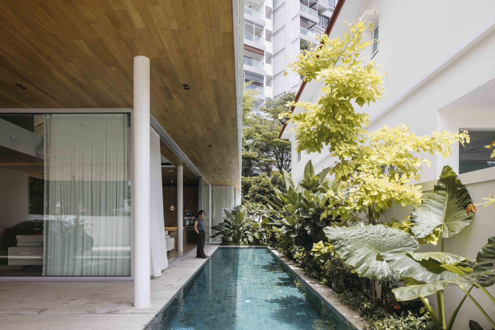 The natural elements framing the house