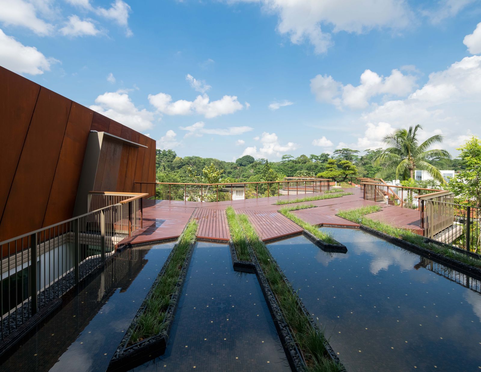 The expansive exteriors of Red Bean Architects' Olive Road project