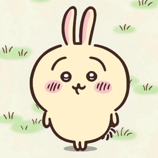 Usagi 兔兔(Photo: Chiikawa)