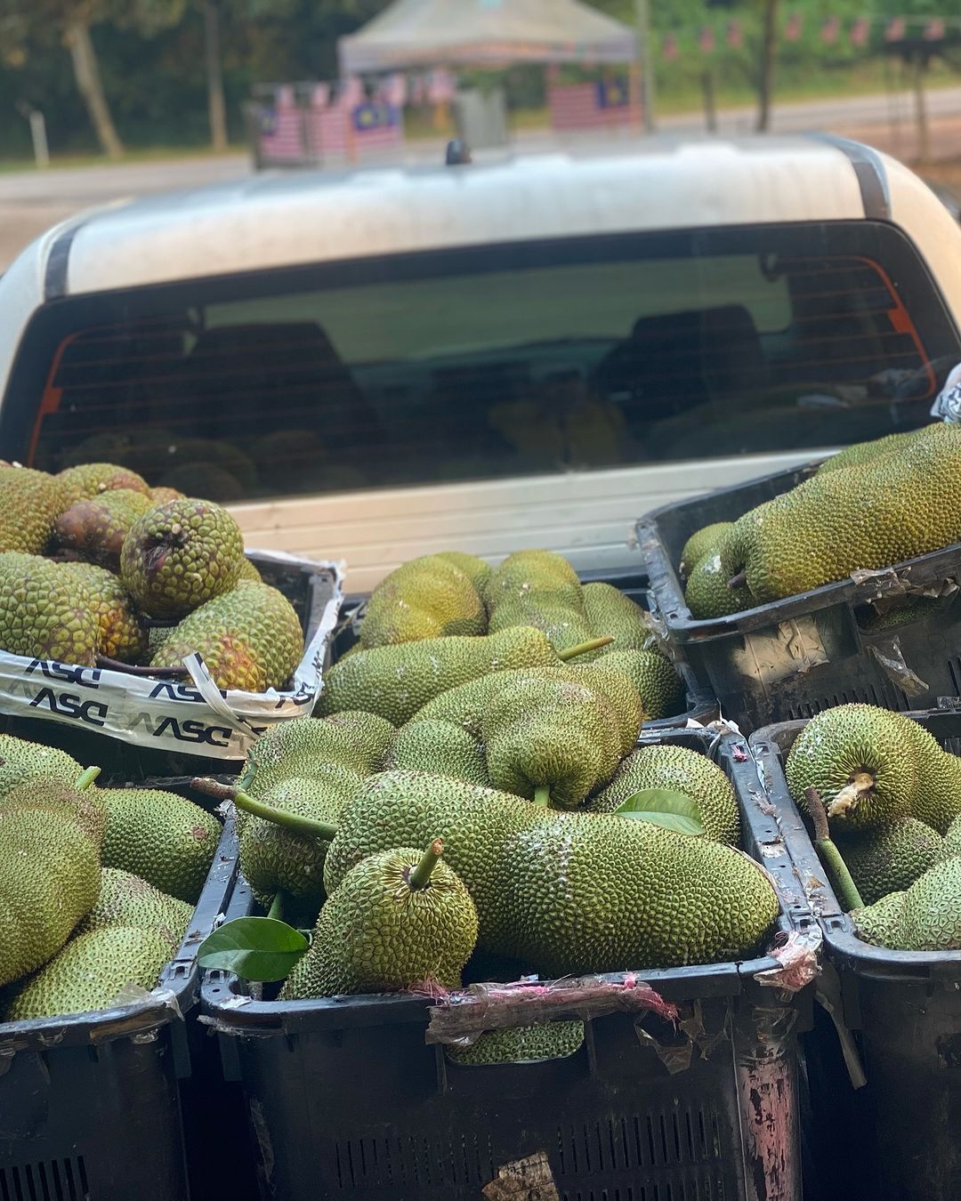 Cartons full of cempedak fruits (Photo: Instagram / @ahyew0605)