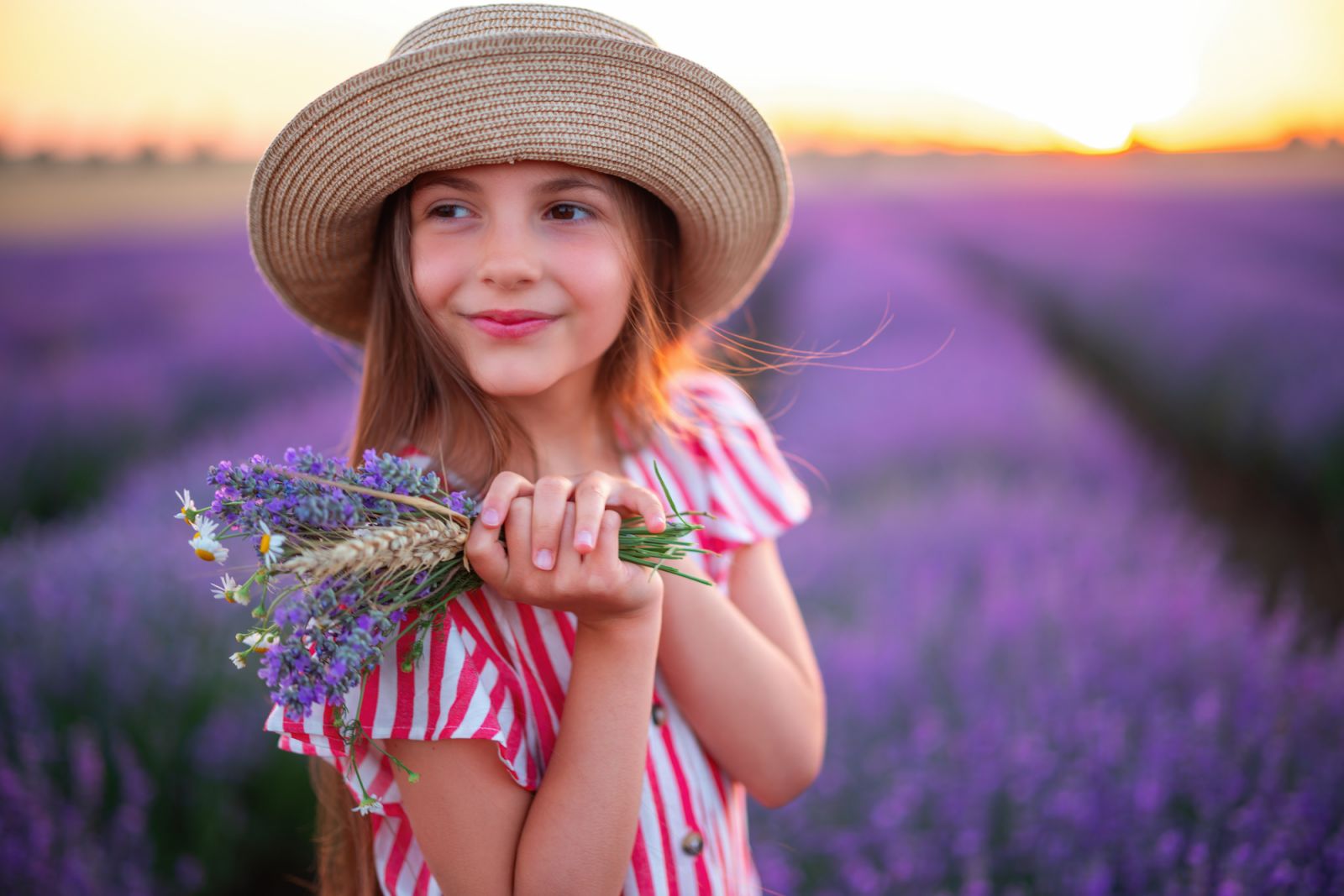 Lavender field and Girl with flower bouquet. Beautiful woman with dress and hat enjoying color lavender rows in endless blooming field.