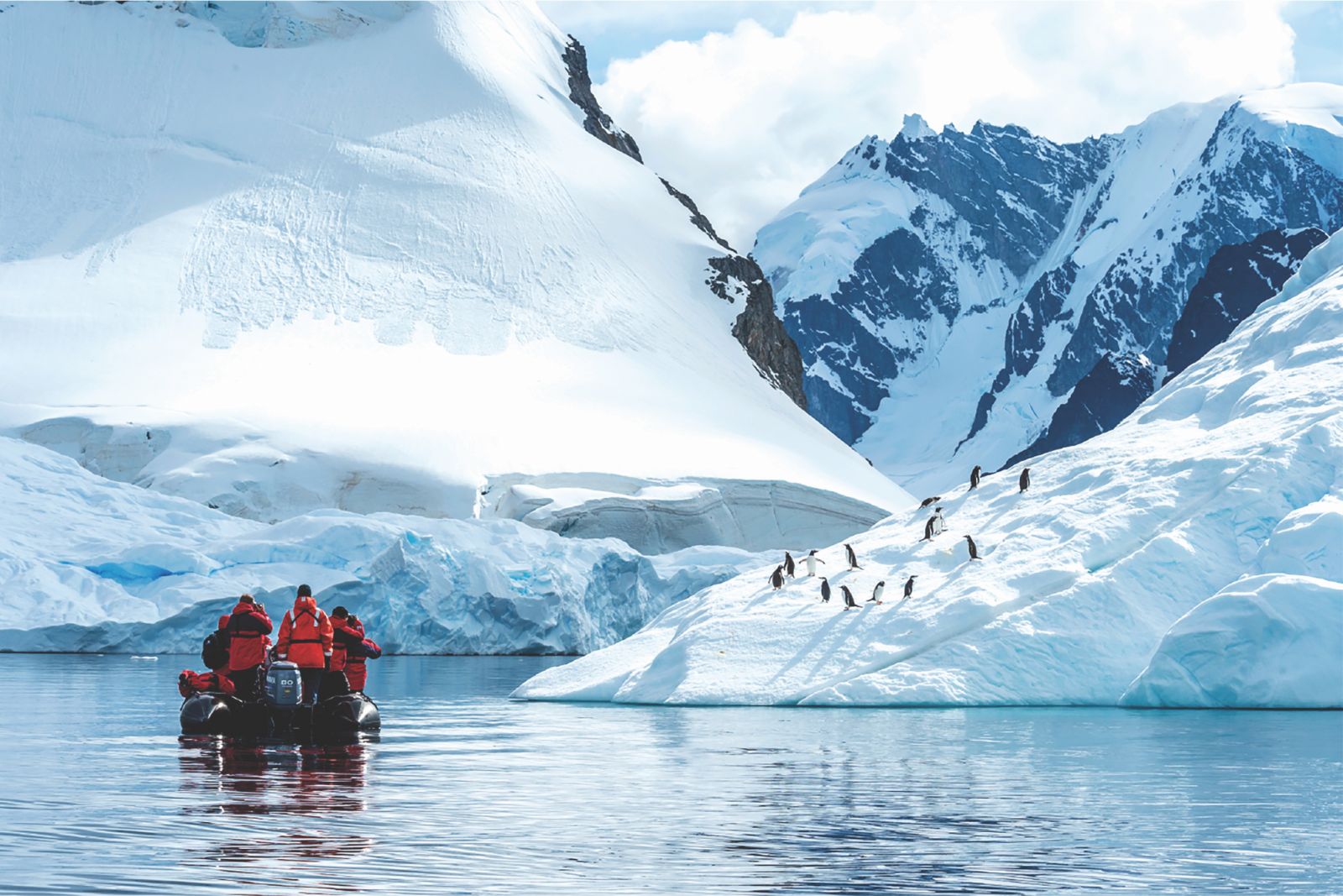 Penguin spotting (Image courtesy of Ponant Cruises)
