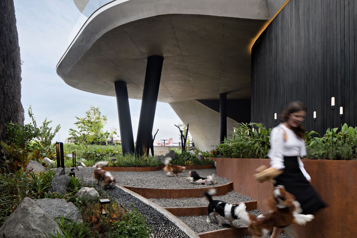 the homeowner’s pet Cavalier King Charles Spaniels happily exploring the ground floor