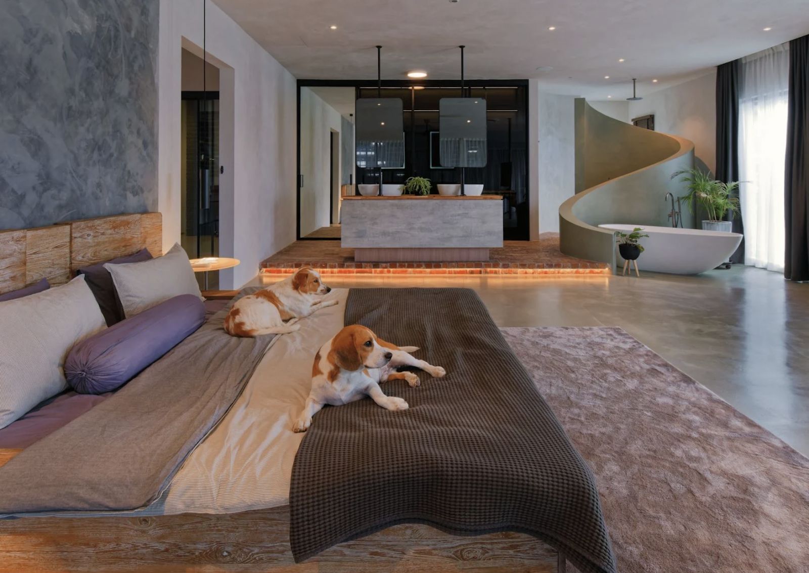 A transformed terrace home in OUG by OTCQ Architects (Photo: Lin Ho)