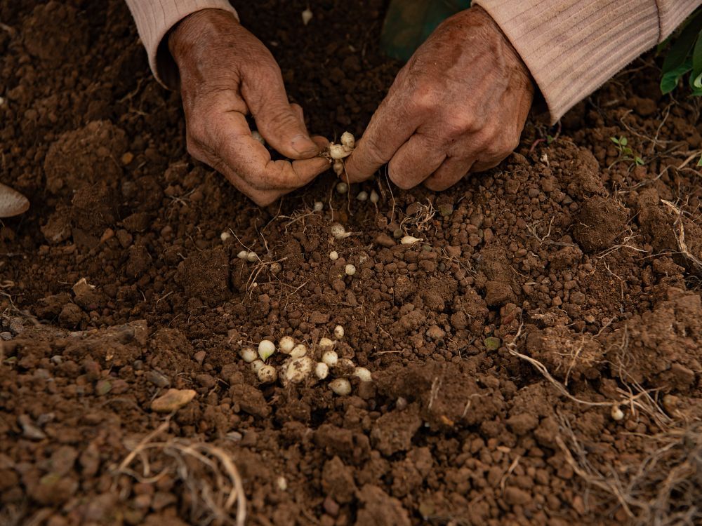 Spices are a powerful thread, binding together culinary memories within each of us. Photo from Van Van’s journey to uncover local sources (photo: Van Van)