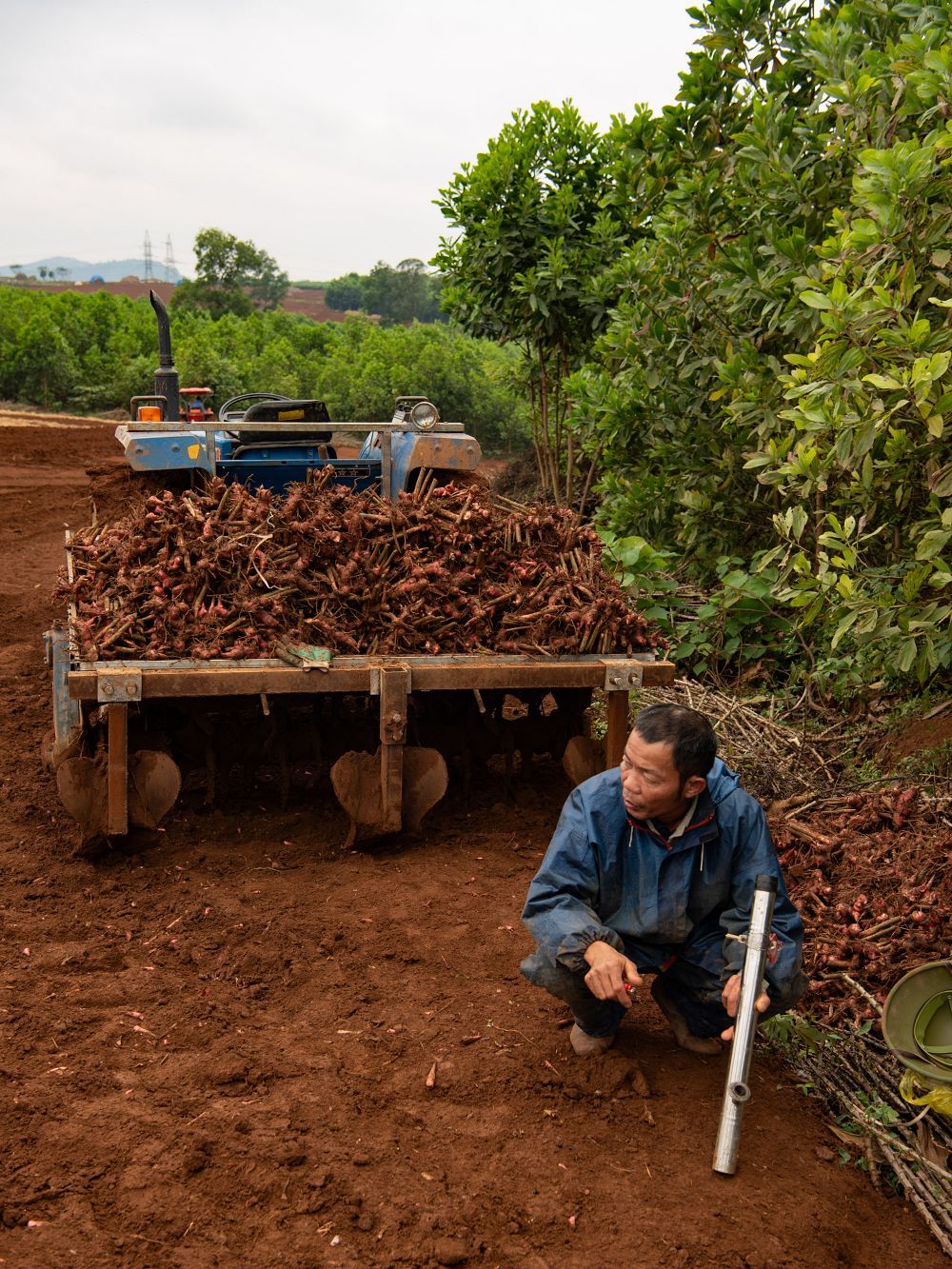 These sourcing journeys are about more than finding the finest raw materials. They’re also a way for Van Van to reconnect with the roots of its homeland (photo: Van Van)