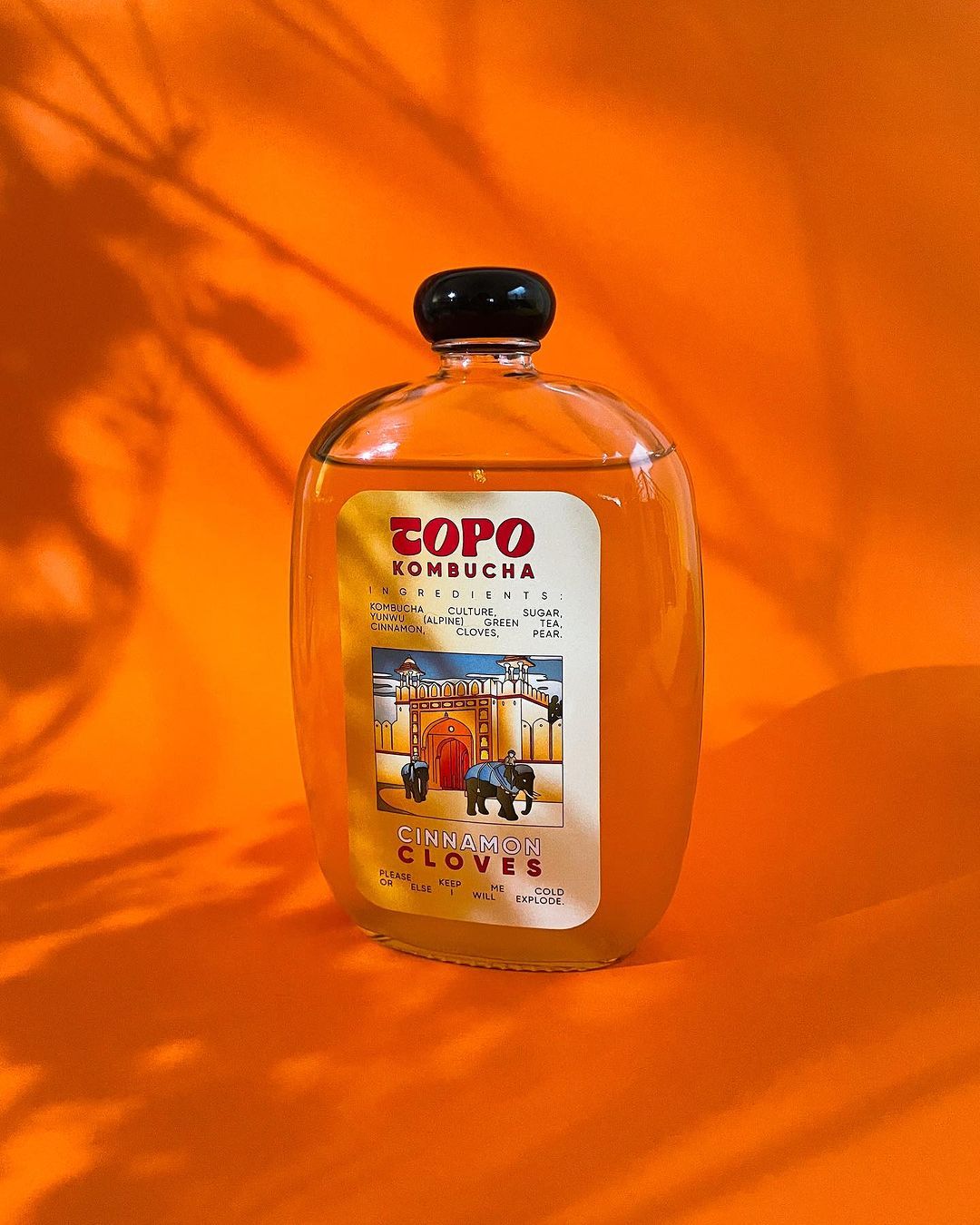 Cinnamon and clove kombucha (Photo: Instagram / @topolivingfoods)