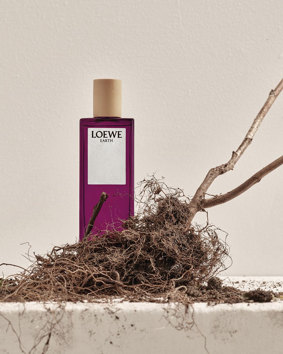 Loewe台灣門市？Top3 Loewe蠟燭推薦+香水銷售Top8這樣挑！ | Tatler Asia