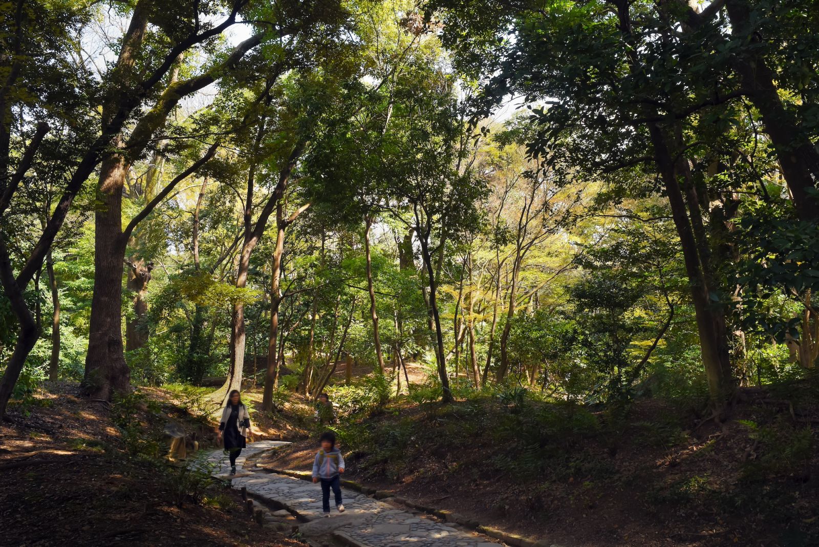 Spending time amongst nature is key to a holistic life (Photo: David Yeow)