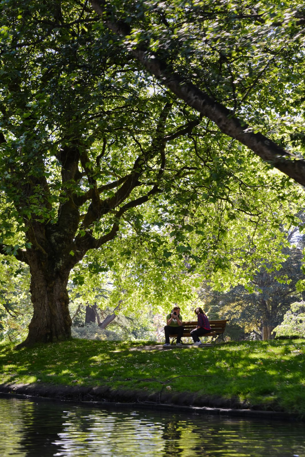 A development that prioritises walkability (Photo: David Yeow)