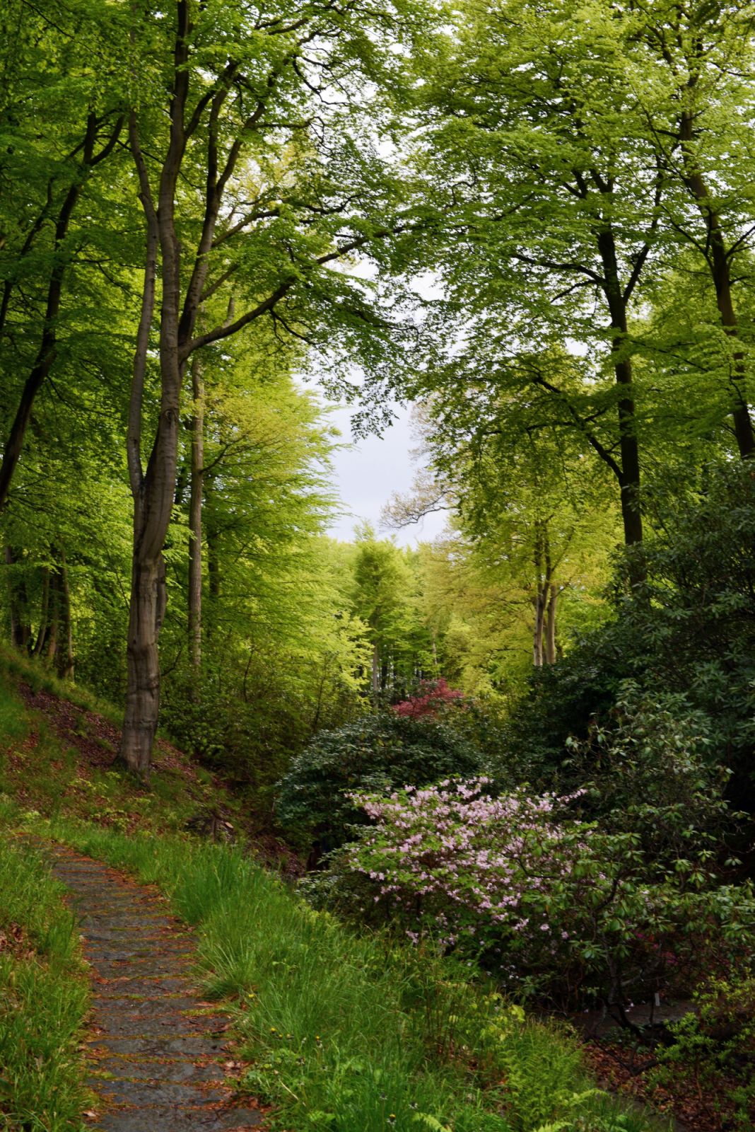 Nature trails allow for many opportunities to make this a routine (Photo: David Yeow)