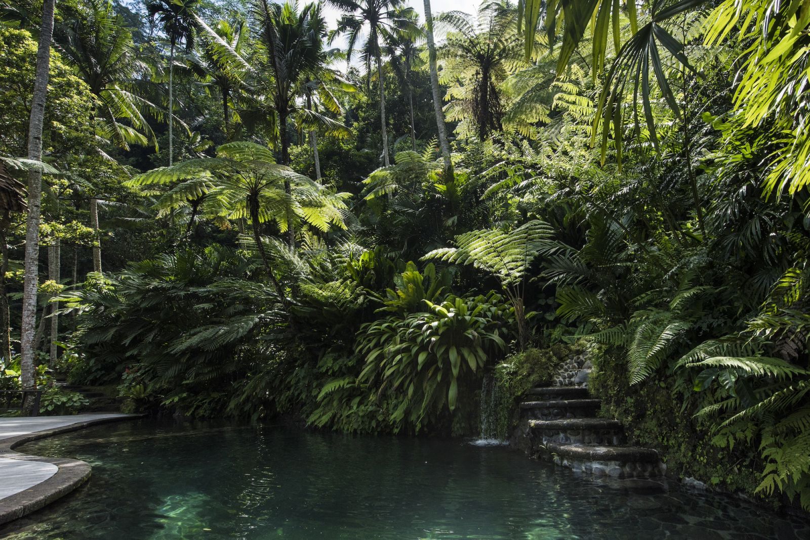 Wake up to lush greenery (Photo: David Yeow)