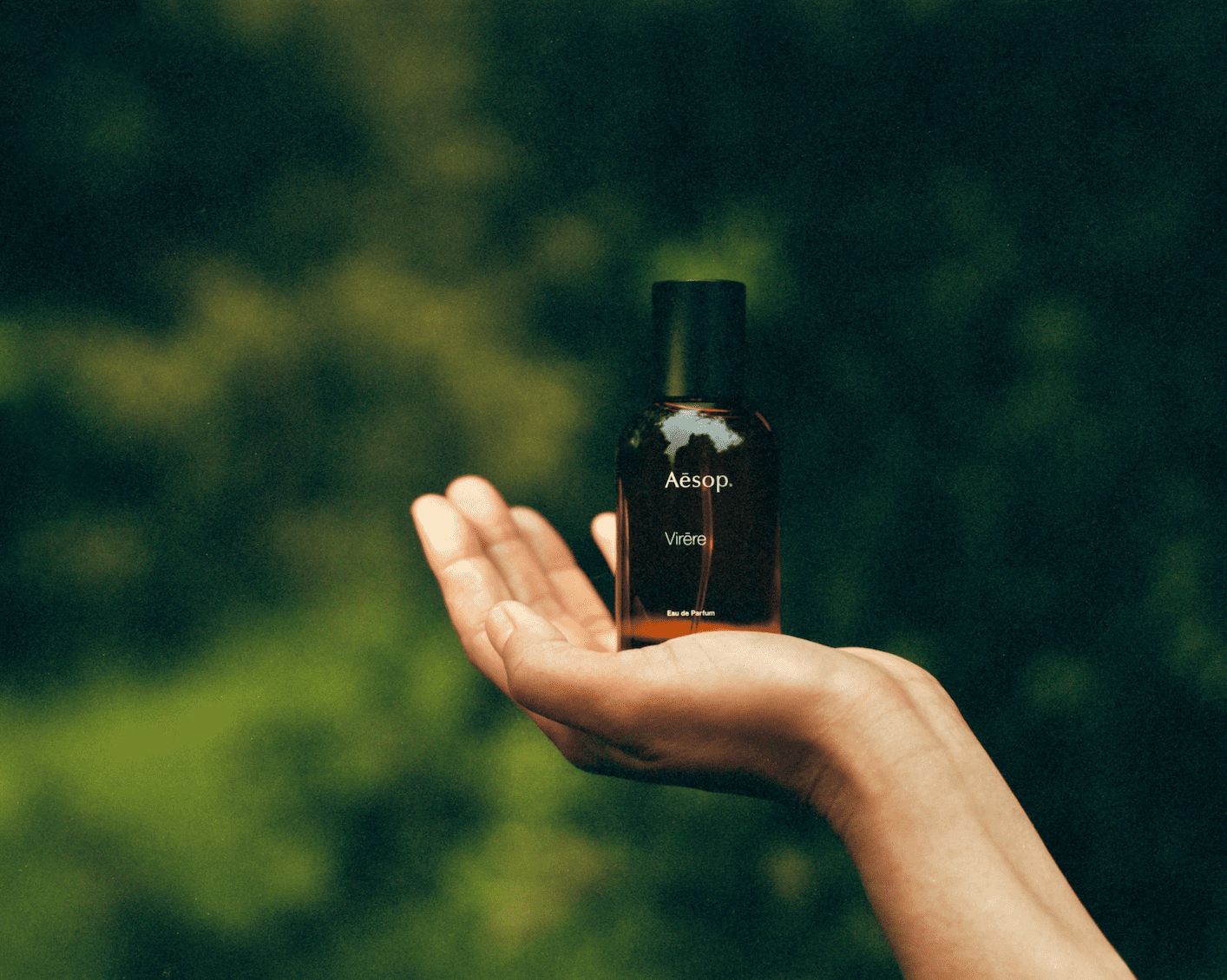 Aesop 2024最新蔚香水香氣介紹、價格、開賣時間| Tatler Asia