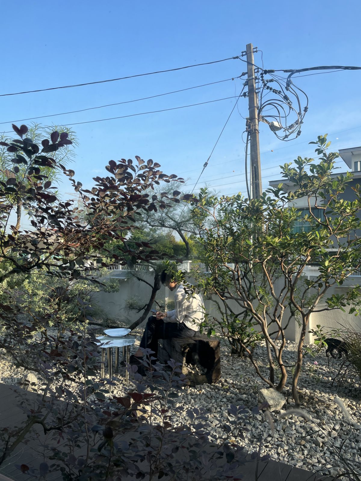 Curated nature at Dou Dou Bake (Photo: Sputnik Forest)
