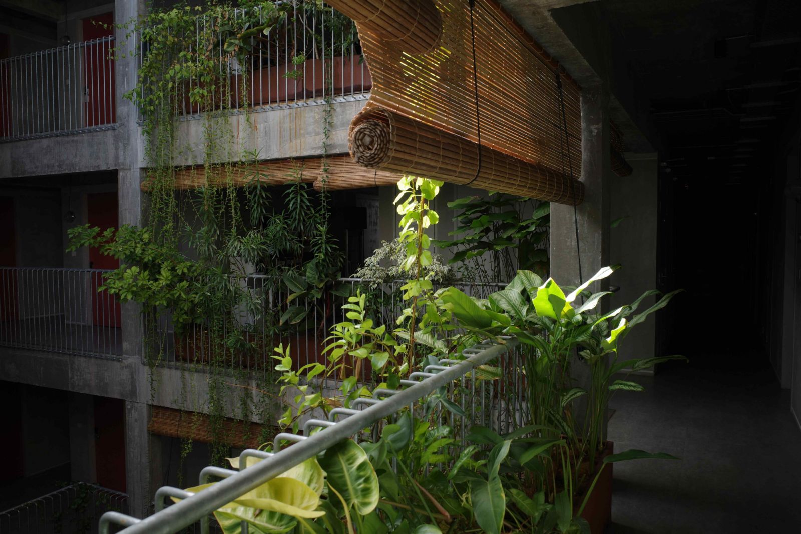 A biophilic getaway at Hotel Mokozoyo in Penang (Photo: Sputnik Forest)