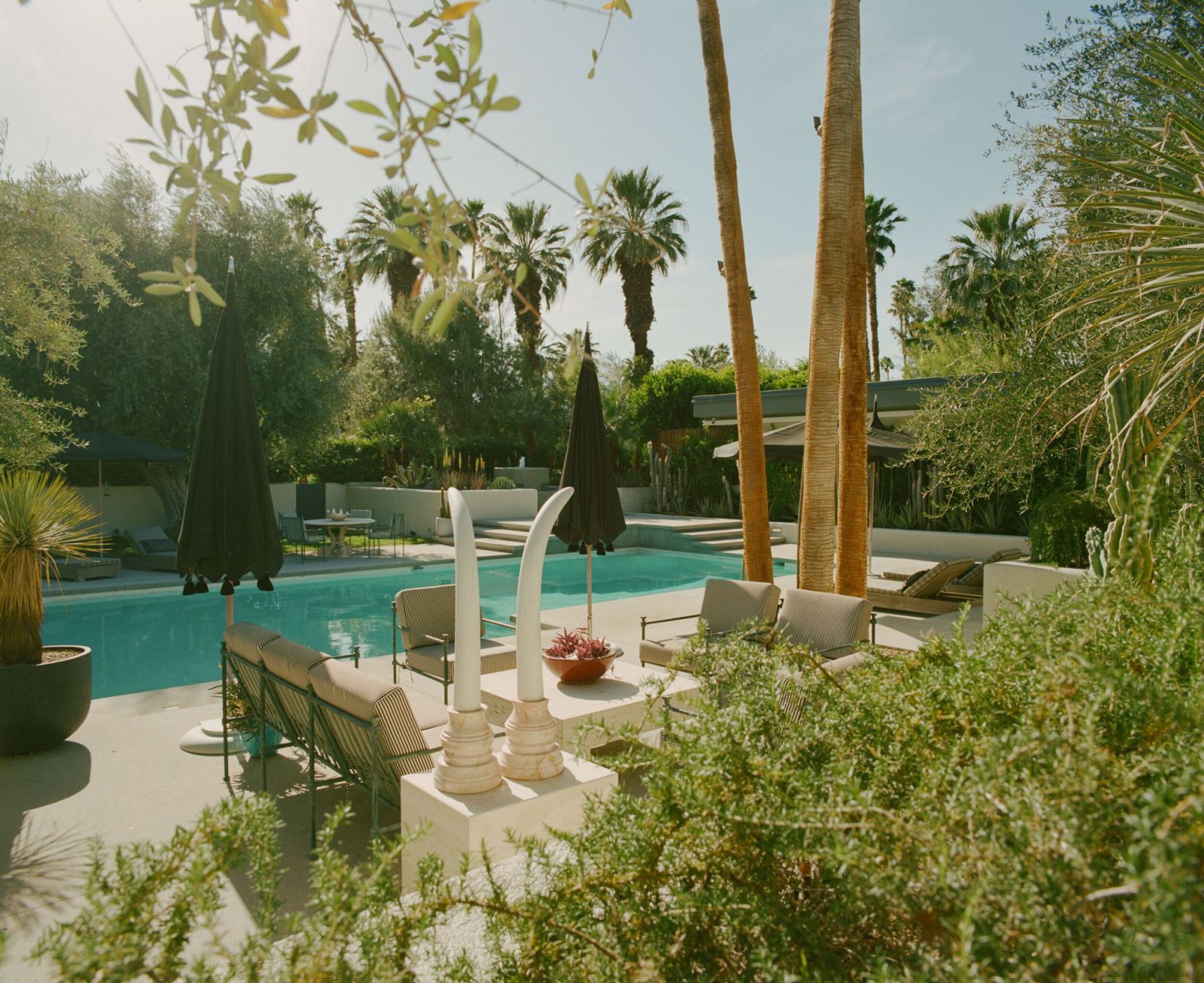 A whimsical Mediterranean retreat energy lifts the mood in the pool area