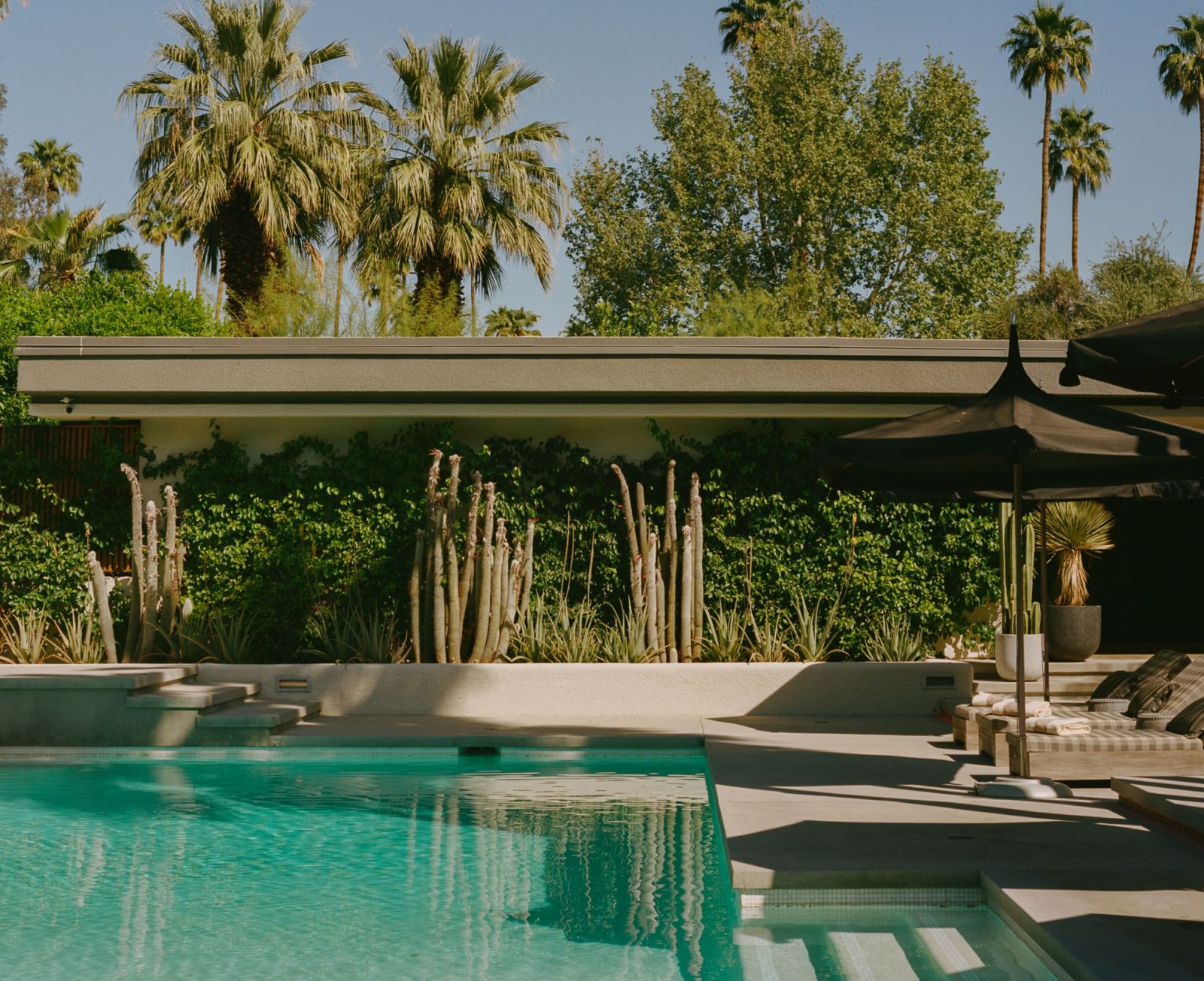 Stoic and tucked away in an enclosed enclave