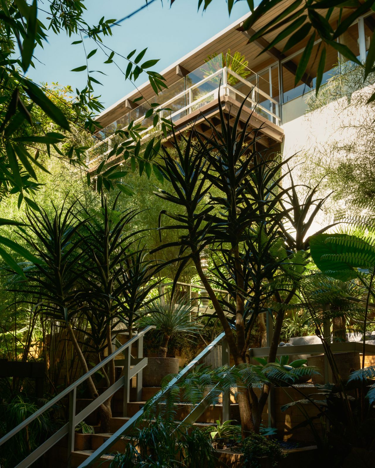 Richard Neutra’s Hailey House shrouded in an otherworldly oasis