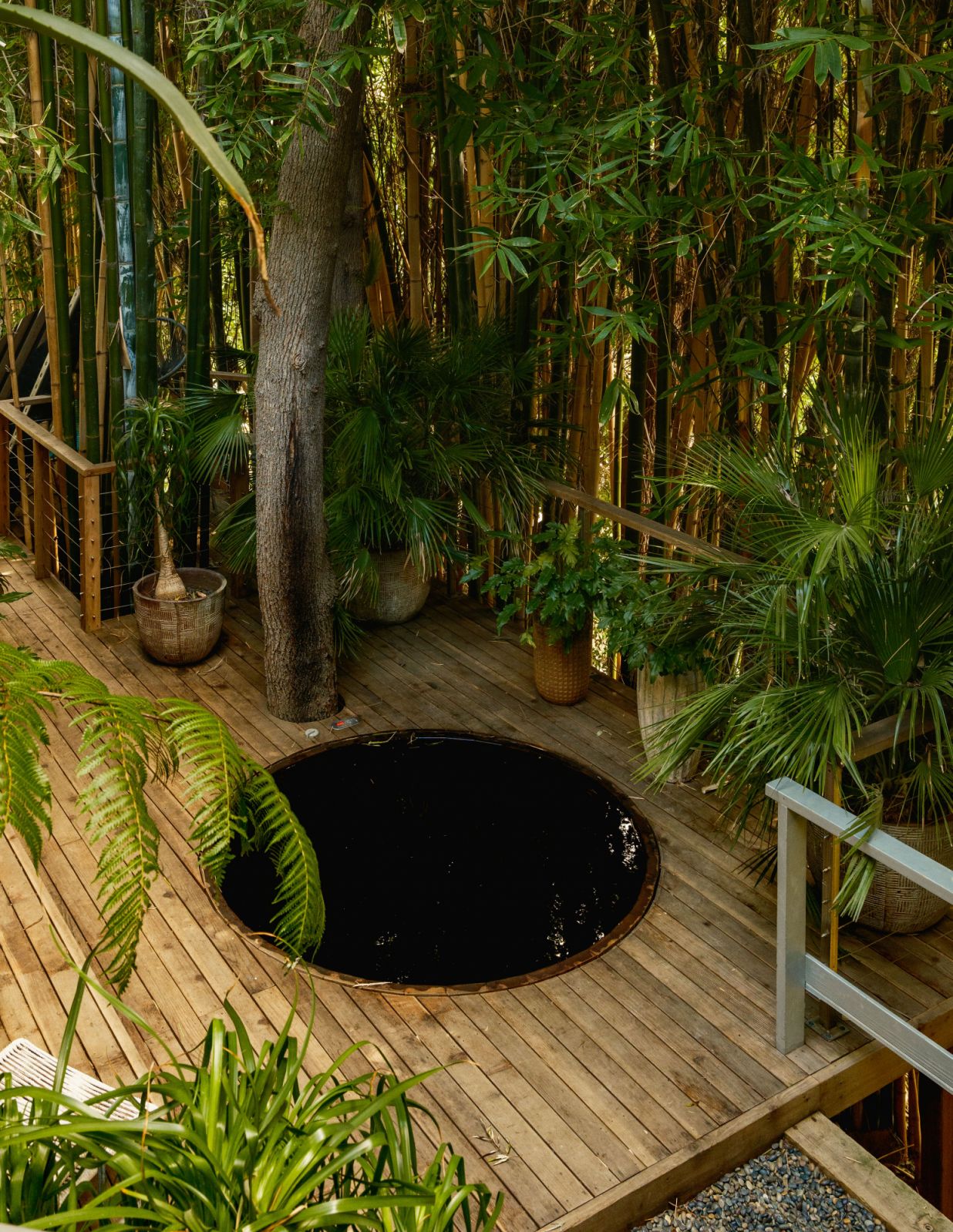 A resort-inspired landscape design emerges from a previously nonexistent environmental vision