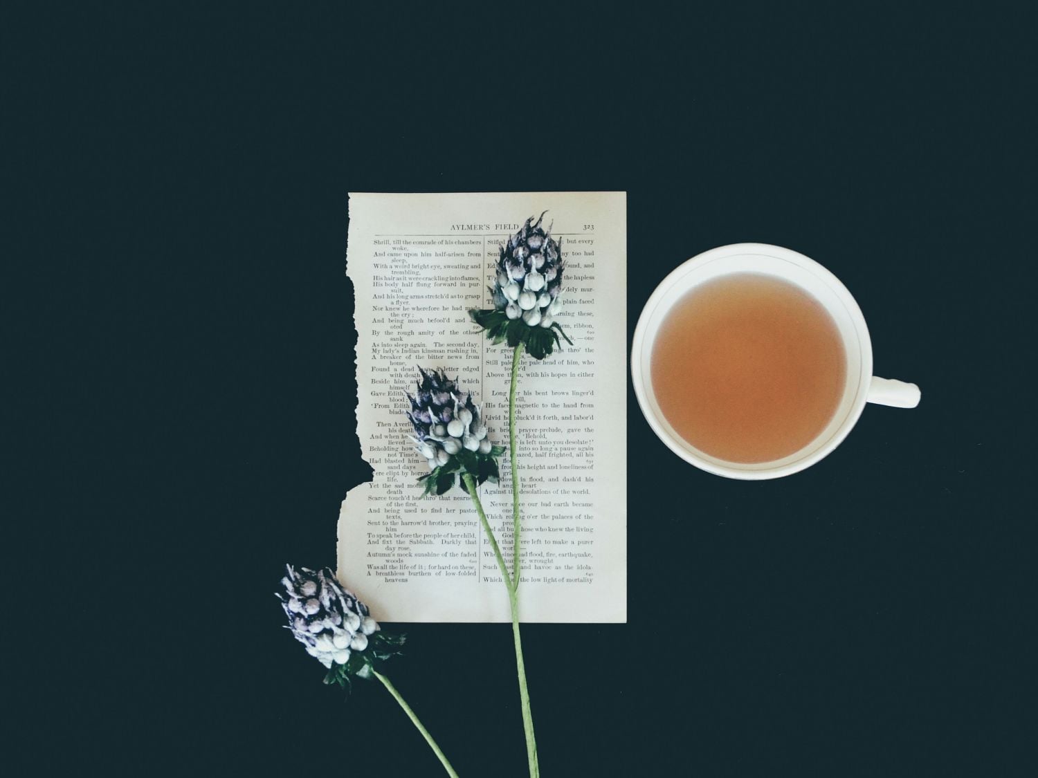 tea-culture-from-east-to-west-3