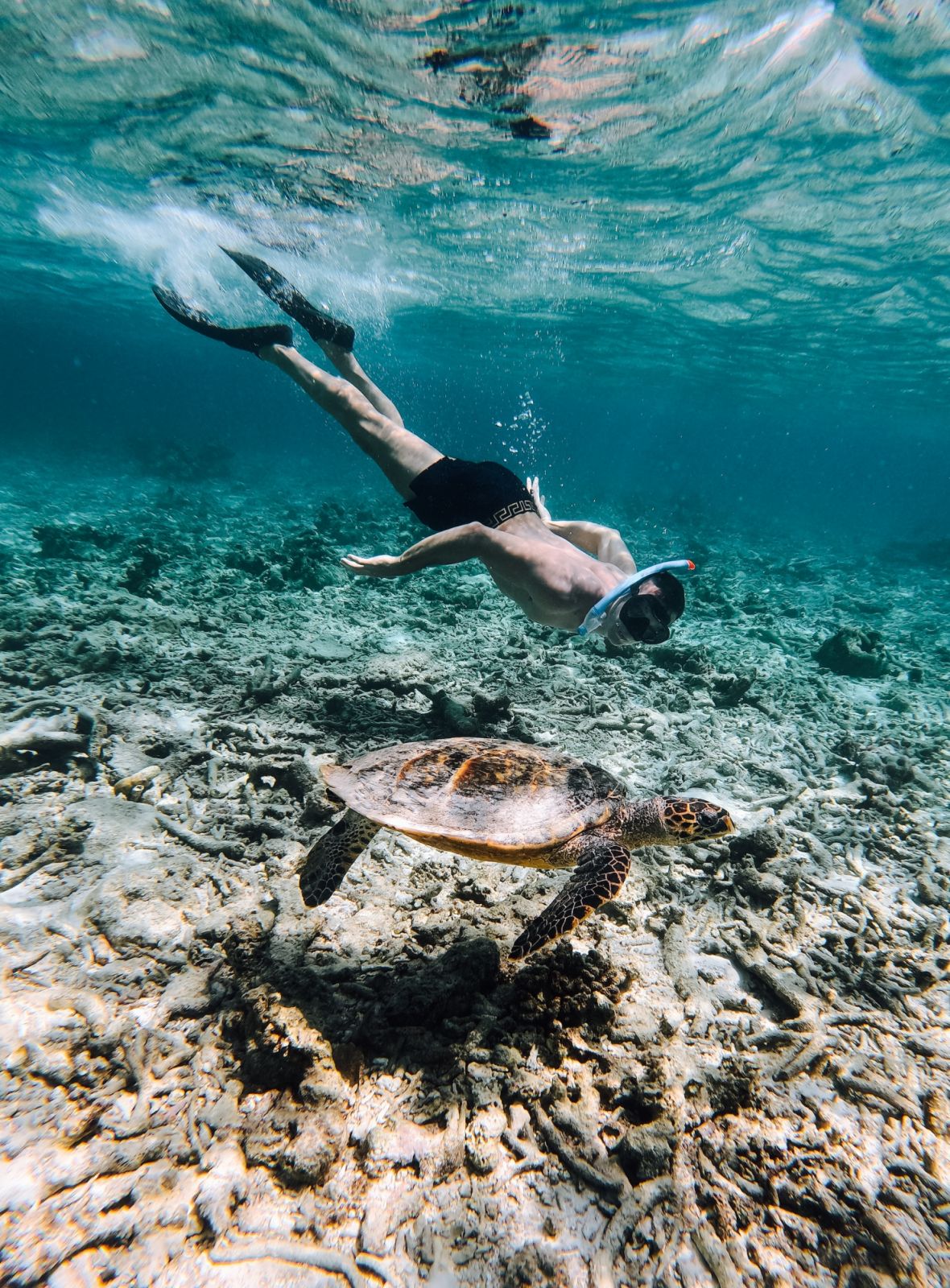 DCIM\100GOPRO\GOPR9667.JPG