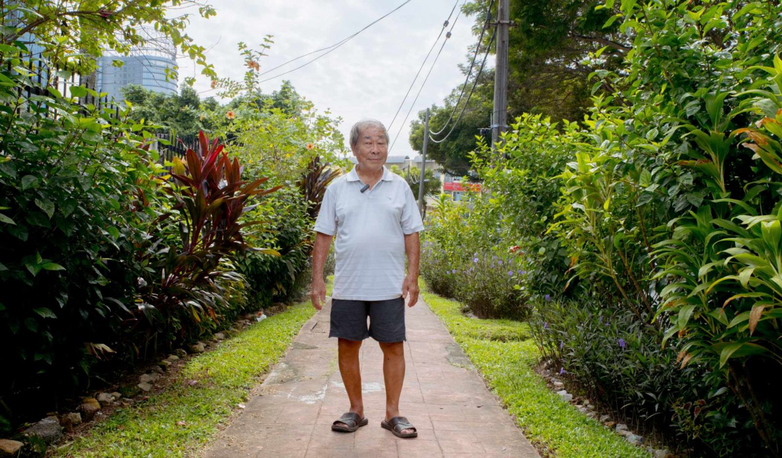 Andrew Chin Sidewalk Gardener