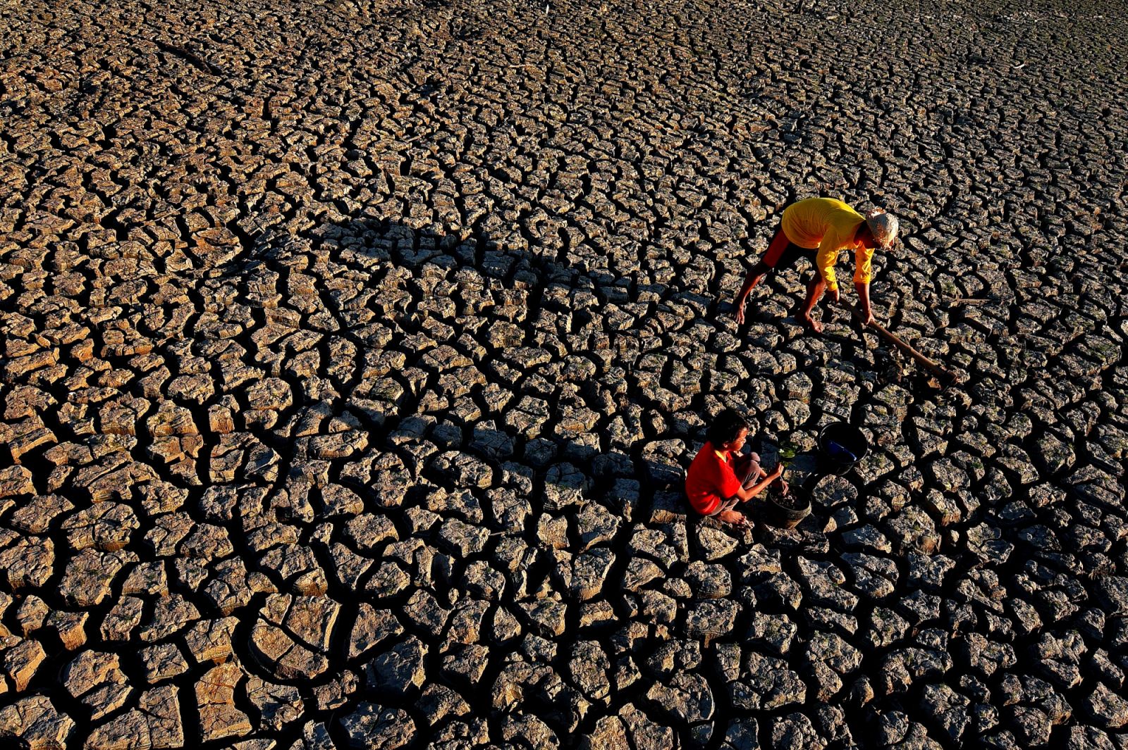 A farmer amidst a drought (Photo: Artdevera17/Wikimedia Commons)