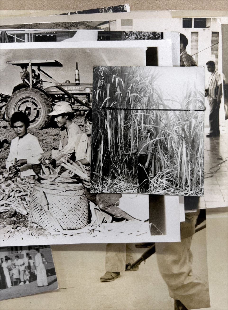 ‘Capital Gains (Sugar Workers)’ by Stephanie Syjuco (Image courtesy of Silverlens)