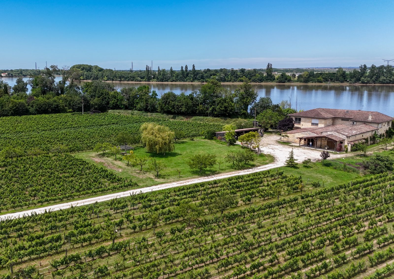 Chateau Shuette, a vineyard focused on natural wines (Photo: Chateau Shuette)