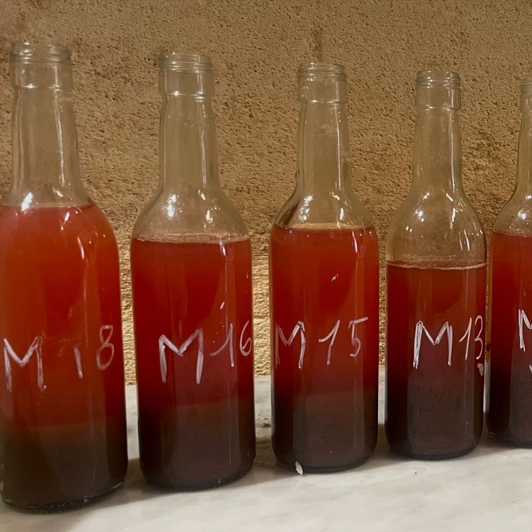 Different expressions checked each week for sugar, aroma, and acidity (Photo: Instagram / @shuette_wine)