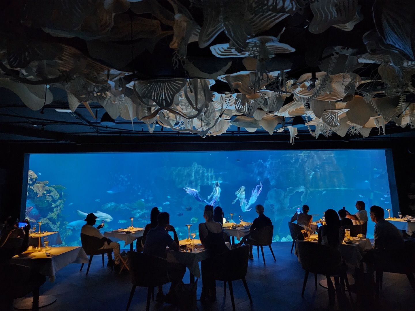 Underwater fine dining at Su Va Na