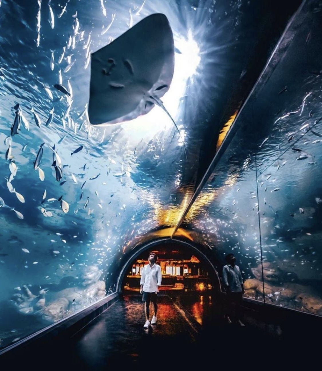 Underwater fine dining at Su Va Na