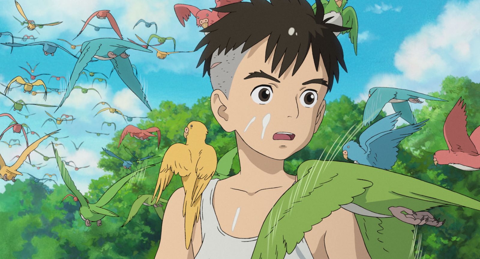《蒼鷺與少年》