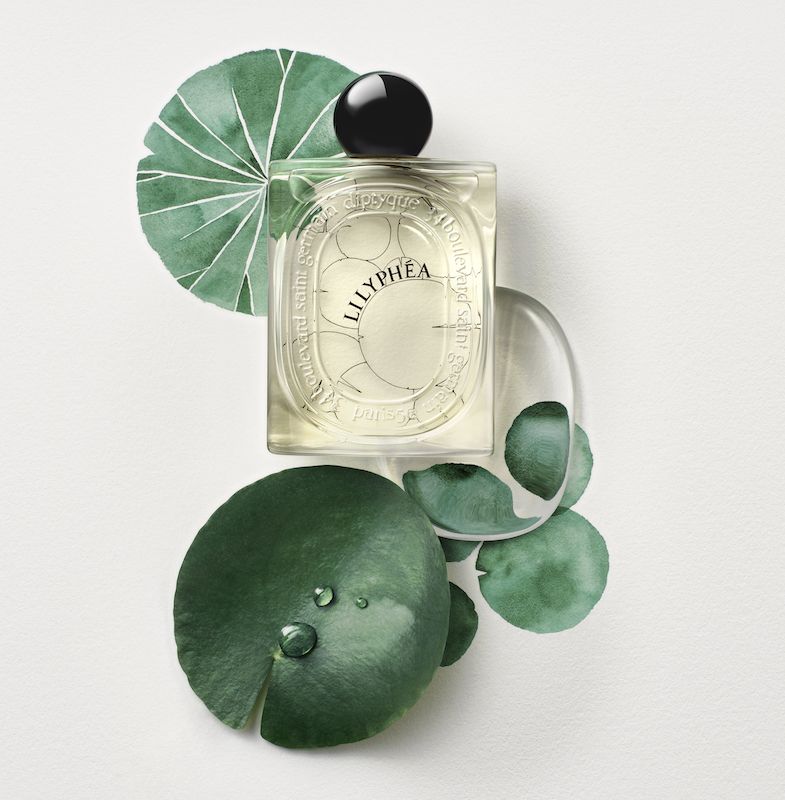 Lilyphea, capturing the essence of the water lily