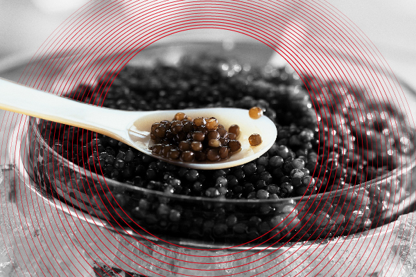 Caviar