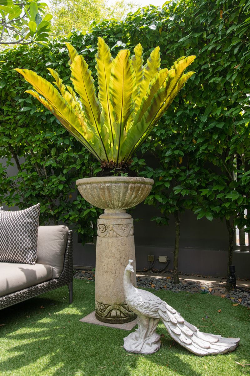An immaculately-appointed corner of Isabelle Miaja’s garden