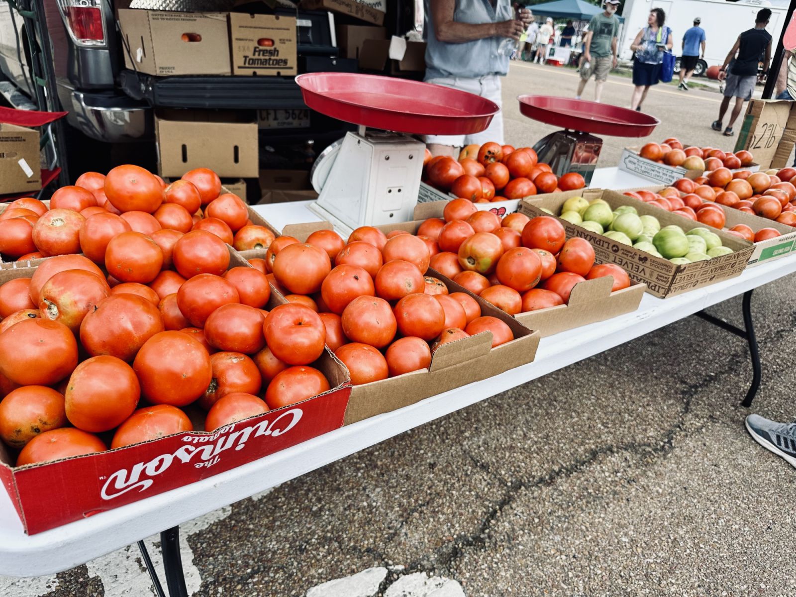 Tomatoes in a market (Photo: Dupe Photos)