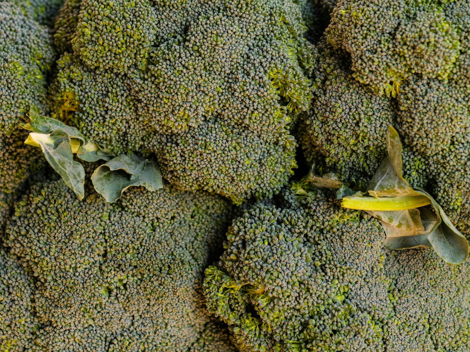 Heads of broccoli (Photo: Unsplash)