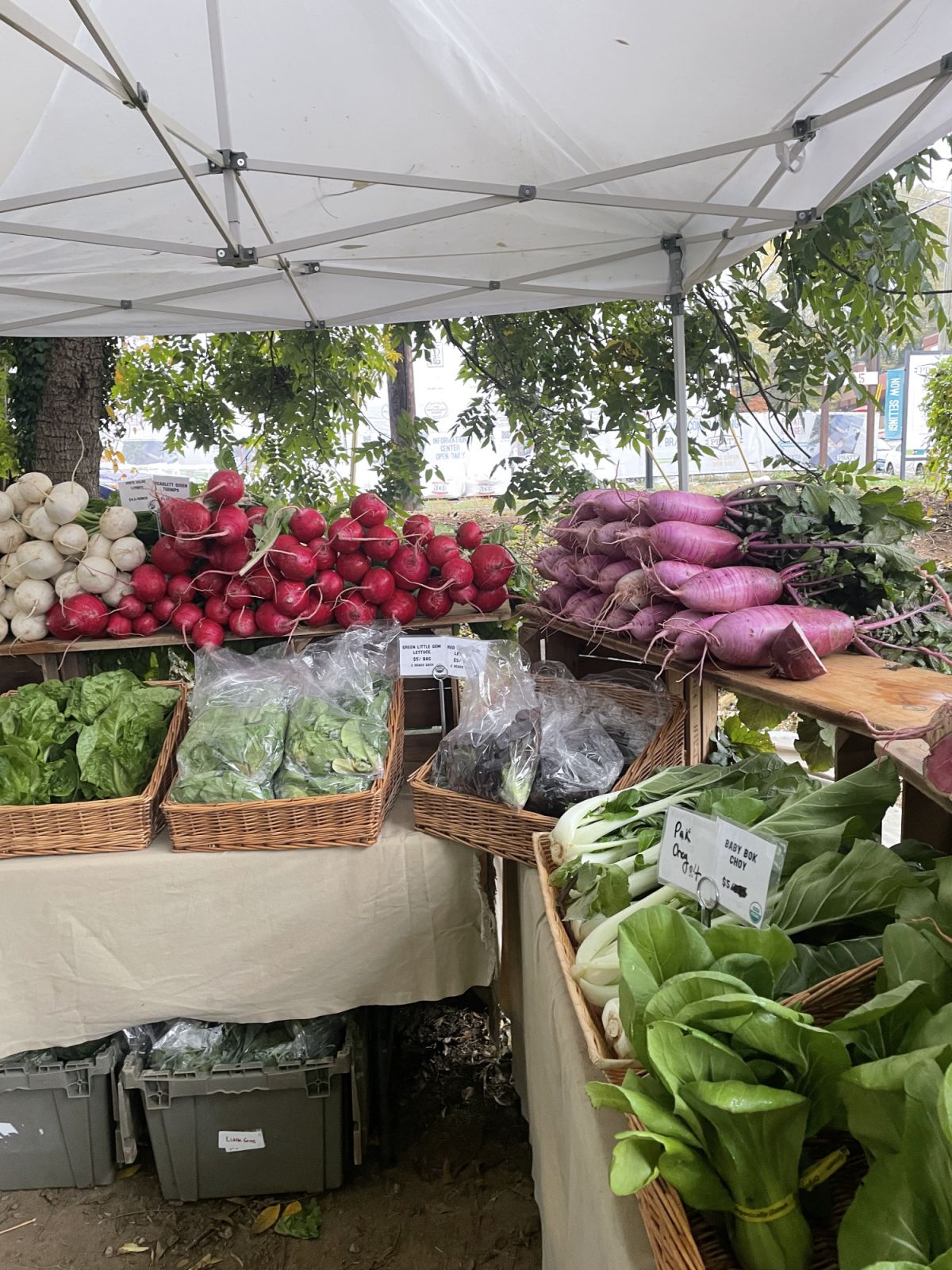 Produce for sale at a farmer’s (Photo: Dupe Photos)