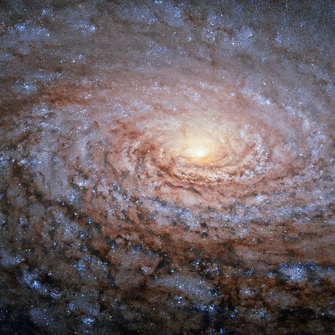 （Photo： Instagram / @nasa）