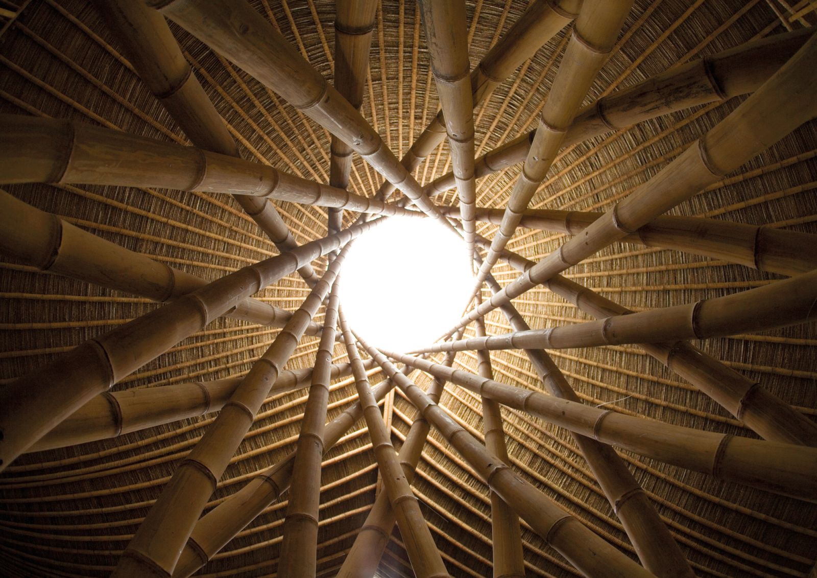 Complex bamboo construction by Ibuku (Photo: Ibuku)