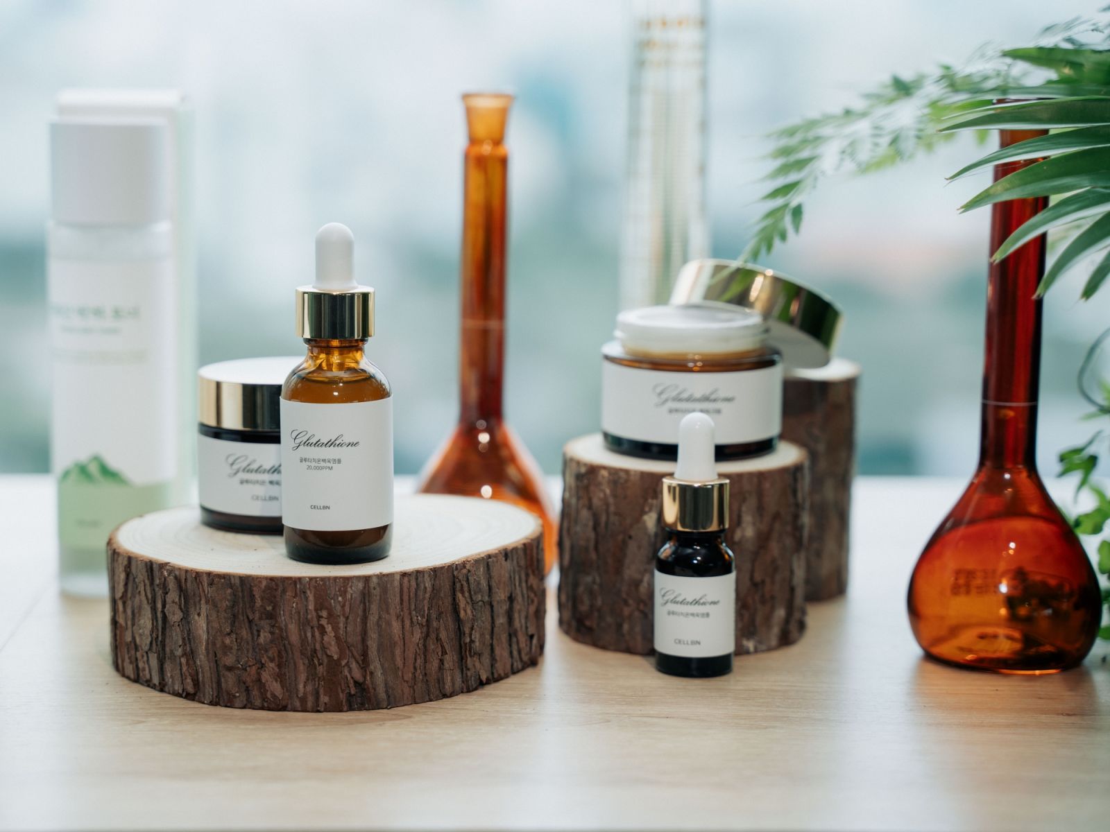 Bàn trưng bày các sản phẩm của CELLBN