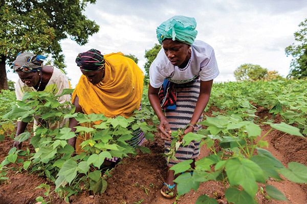 One of the areas the Olam Agri focuses its sustainability efforts on is the livelihoods of farmers and their communities